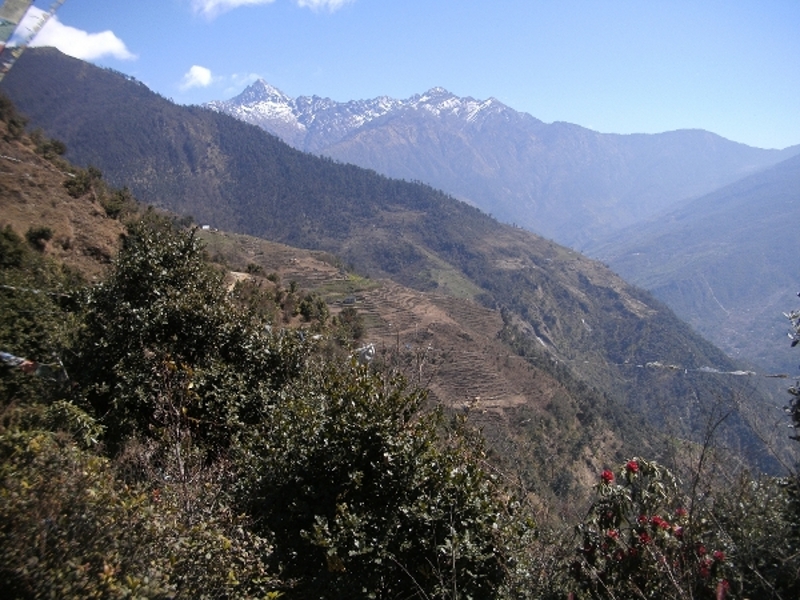 view of Shiteling